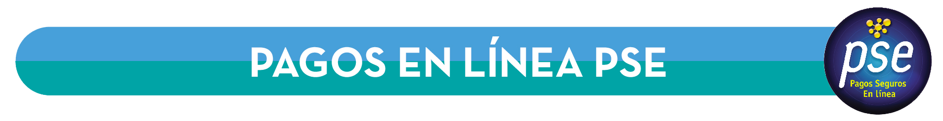 PAGOS EN LNEA PSE