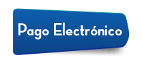 Pago Electrnico